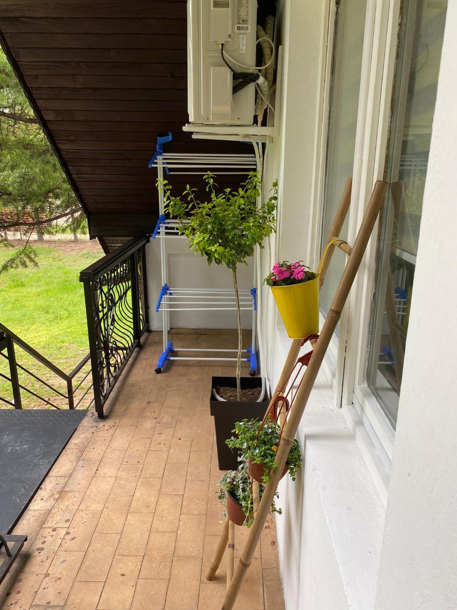 Vila Jezerski Raj Borsko Jezero Habitación foto